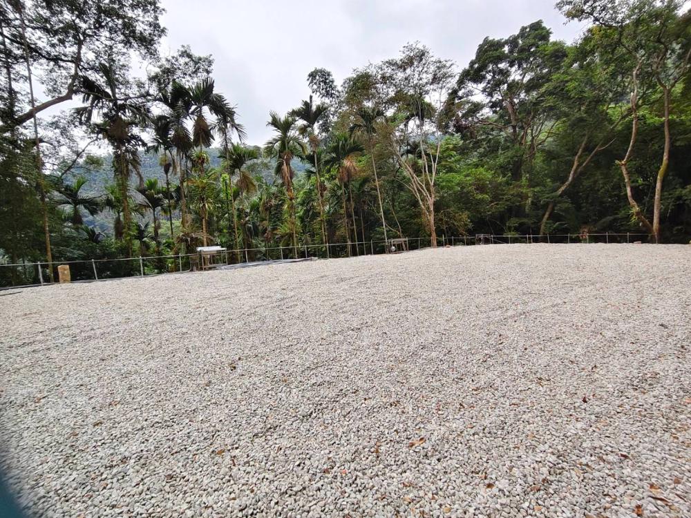 森林碎石四區(6帳包區)